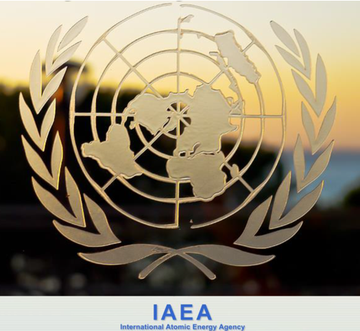 SunPort Participates in the IAEA Technical Meeting on Adoption of Systems Engineering Principles for Nuclear Power Plant Instrumentation and Control